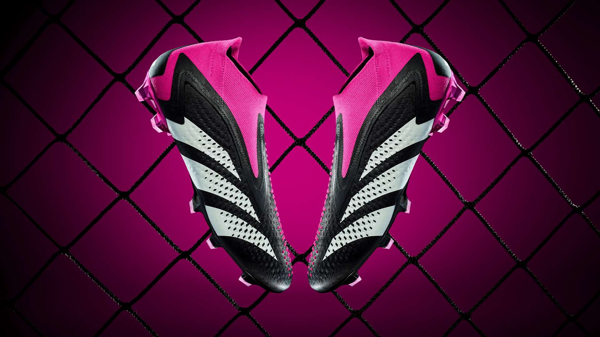 哨声响起 哨声响起